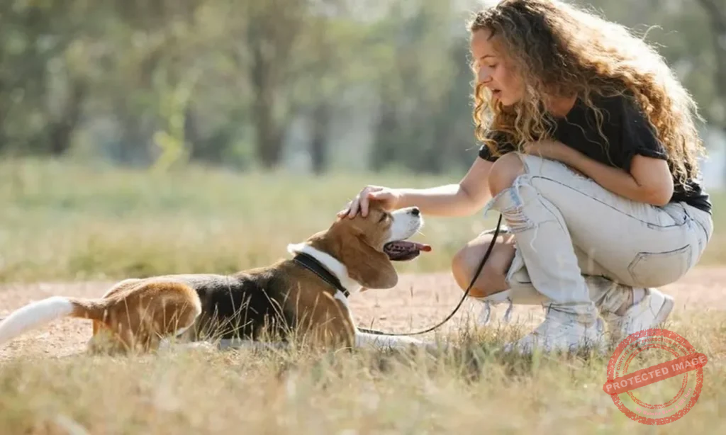 Dog bite liability lawyer helping injury victim with legal claim
