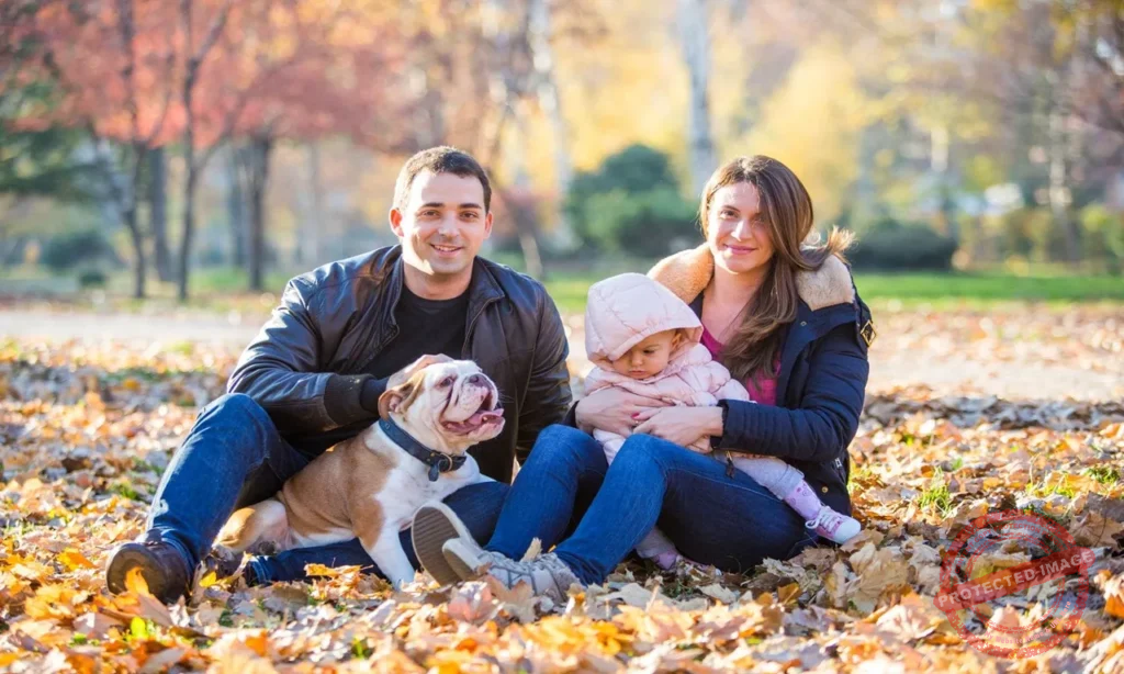 Pet custody lawyer helping family resolve pet ownership dispute